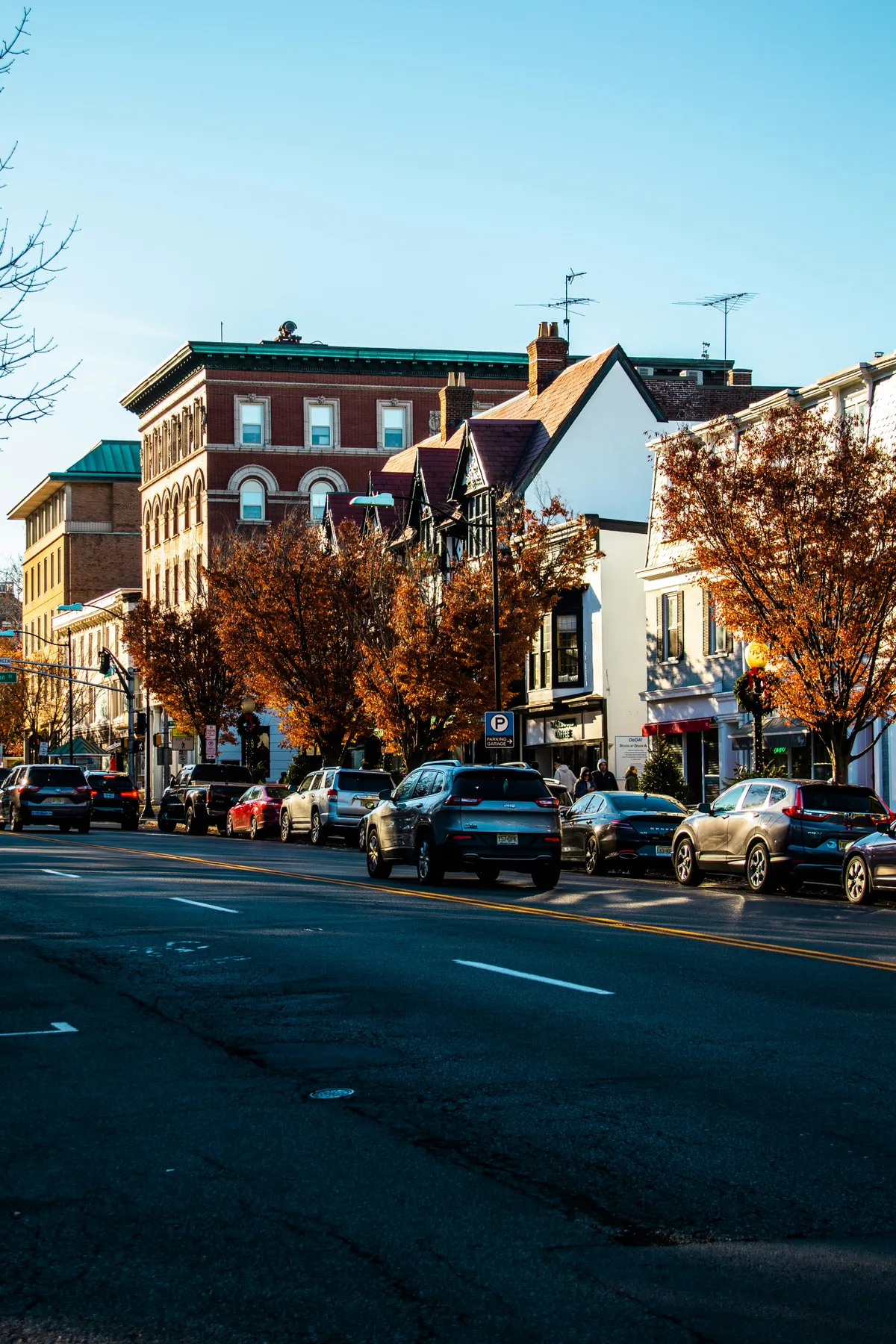 A tree-lined main street of a New Jersey downtown